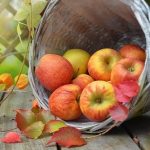 Next event – ‘Autumn Song’ – Update and last call apples & leaves-1776744_640 cropped